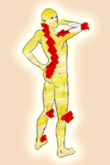 20060725205624-artrose.gif