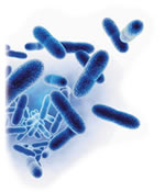 20080428162138-microbes-blue-small.jpg